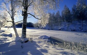Winter Landscape Wallpaper
