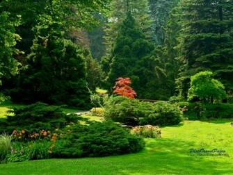 Gardens Wallpaper Image And Nature Pictures