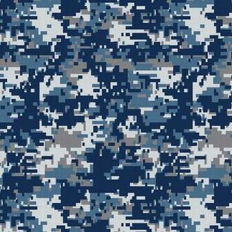 Digicamo Background On
