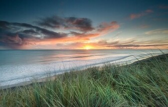Wallpaper New Zealand River Waikato Mouth Beach Grass Sun Sunset