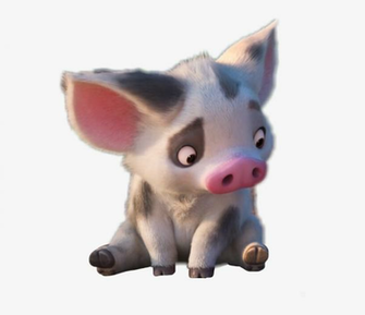 Pig Transparent Pua Moana Background