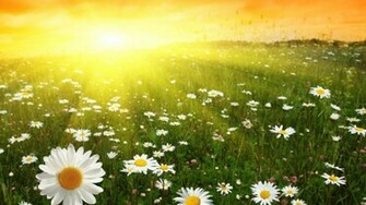 Best 5k Wallpaper For Apple Imac Ultra HD