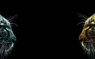 3edy82r Dual Screen Wallpaper Px Picserio