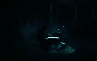 Fireflies Wallpaper Comics Desktop Background Cartoon
