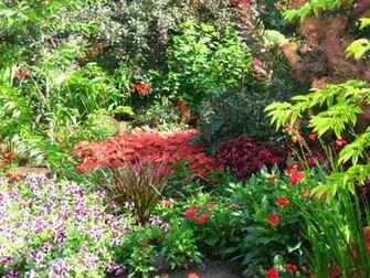 Flower Garden Wallpaper
