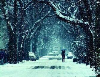 Snow Falling Wallpaper