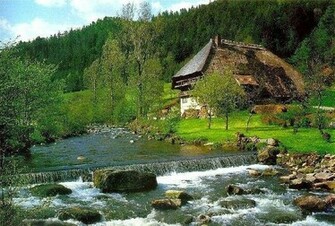 And Inspirational Image Of Black Forest Germany HD Wallpaper
