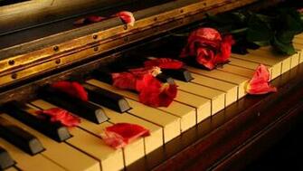 New Art Funny Wallpaper Jokes Red Rose Petals HD Gallery