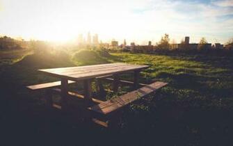 Picnic Table Wallpaper