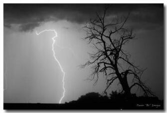Black And White Fine Art Photography Scenic Tree Silhouette With A