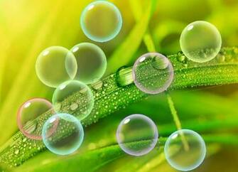 Colorful Bubbles Screensaver A In