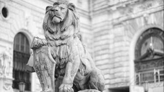 Man Made Statue Sculpture Black White Lion Wallpaper