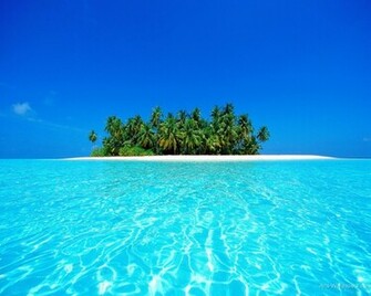 Tropical Paradise Wallpaper Art Print Poster