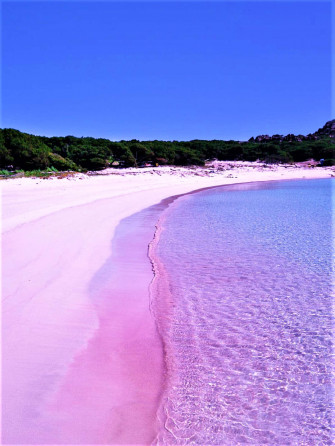 Pink Beach Wallpaper