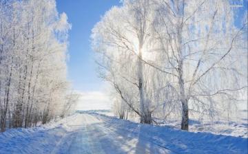 Sunny Winter Day White Snow On The Road