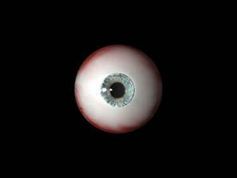 Wallpaper Good Eye 3d Digital Art Nature One Of The First Eyes I