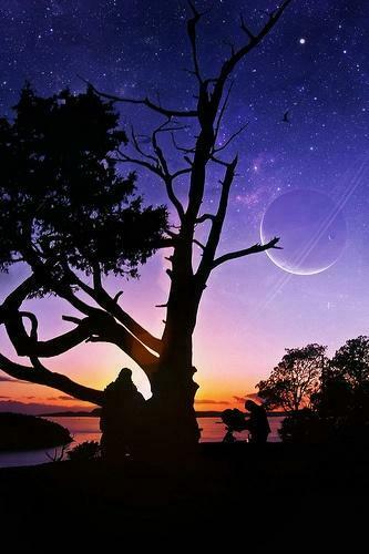 Wallpaper To Make Your Apps Look Good Mobile Phone