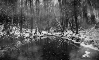 Animated Rain Wallpaper