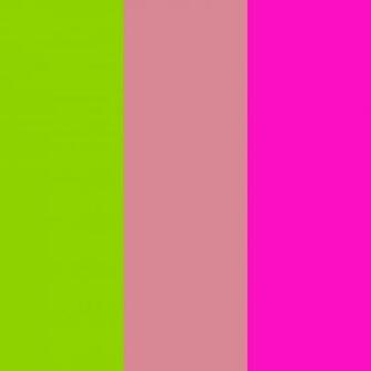 Sheen Green Shimmering Blush And Shocking Pink Three Color Background