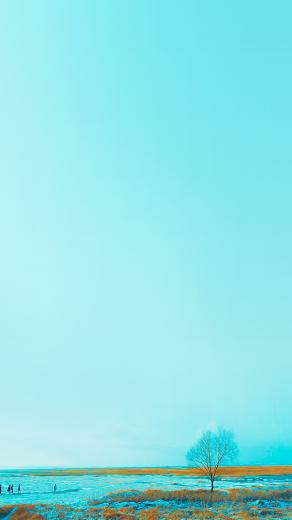 Spring Day Wallpaper Please Like Re If Using In Bts