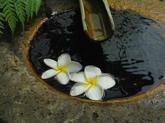 Zen Garden Hawaii High Quality And Resolution Wallpaper