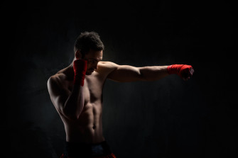 The Knockout Effect Get Mma Fit In Months