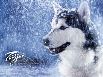 My Winter Storm Wallpaper By Mara15
