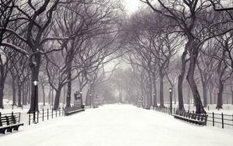 Winter Computer Wallpaper Desktop Background Id