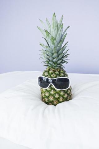 Funny Wallpaper HD Hq