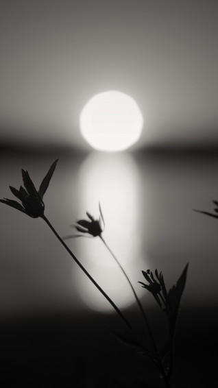 Black White Phone Wallpaper