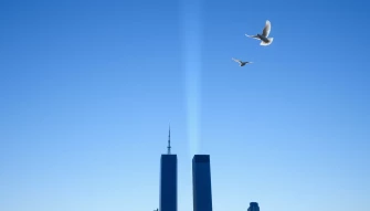 Wallpaper