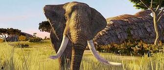 Find Cabela S Dangerous Hunts For Xbox Hooked Gamers
