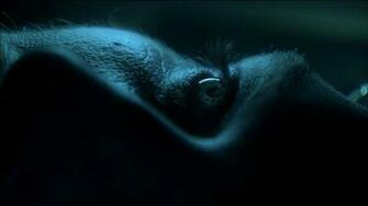 Wallpaper Background Avatar Bluray 1080p Avc Dts Team Exdrs