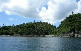Tropical Island Nature Widescreen Desktop Background