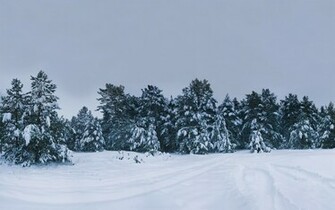Nice Wallpaper Of Winter Landscapes Nature For