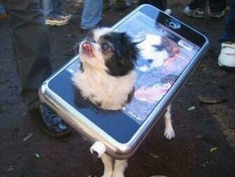 Send To Mobile Phone Dogfon Funny Wallpaper Num