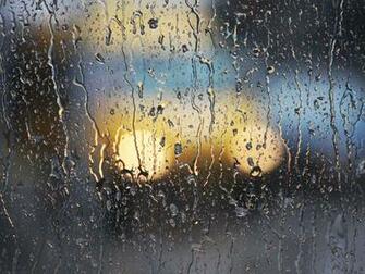 Rain Wallpaper