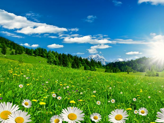 Beautiful HD Wallpaper Amazing Spring Bliss Desktop