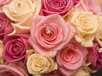 Flowers For Flower Lovers Wallpaper Beautiful Roses