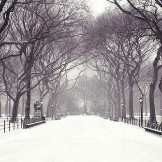 iPad Wallpaper Winter Part I
