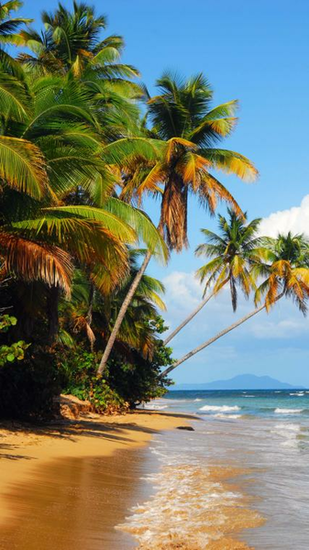Puerto Rico Beach iPhone Plus Wallpaper