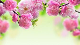 Spring Pc Wallpaper At Wallpaperbro
