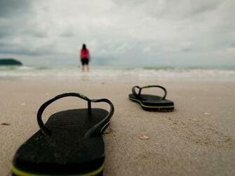 Flip Flops Wallpaper National Geographic Pictures