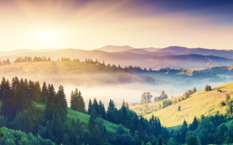 Mist Trees Forest Sunrise Mountain Landscape Wallpaper HD