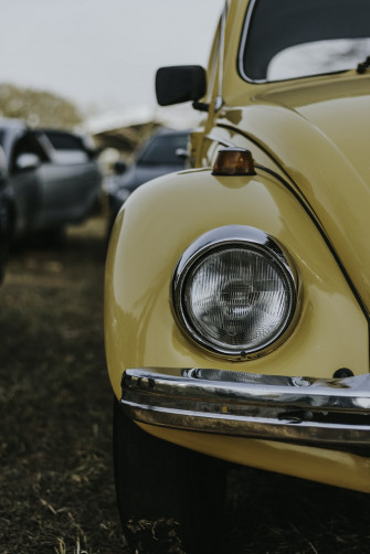 Vw Beetle Pictures Image