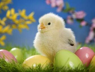 Tag Chicks Wallpaper Image Photos Pictures And Background For