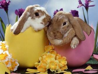 Easter On Its Way I D Like To Share Some Jokes Collected From