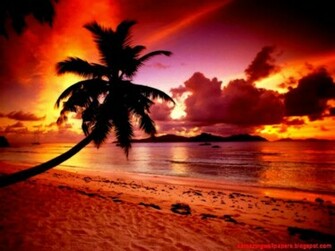 Beach Paradise Sunset Wallpaper Amazing