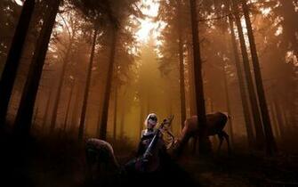 Cello Desktop Wallpaper Net