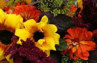 Journey Through Landscapes Perennials To Plant In The Fall